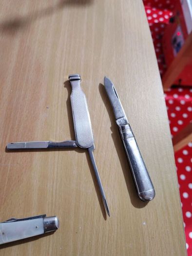 Silver Mother of Pearl Fruit Knife