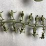 Airfix Image 9