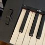Piano Keyboard + Pedal + Stand Image 4
