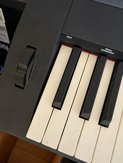 Piano Keyboard + Pedal + Stand