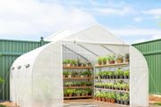 Walk-In Tunnel Greenhouse 3.5 x 3m