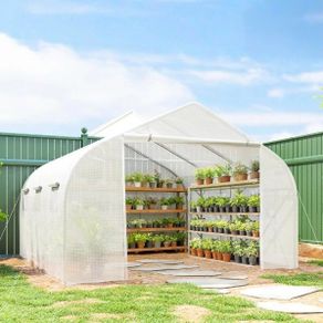 Walk-In Tunnel Greenhouse 3.5 x 3m