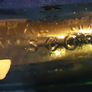 ENNISCORTHY cod bottle Donohoe Image 3