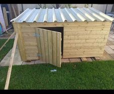dog kennel