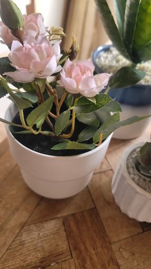 Artificial Plants in Ceramic, Glass, Stone & PVC Pots x8