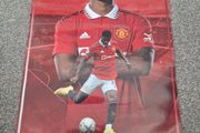 man united poster