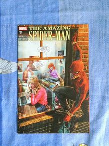The Amazing Spider-Man 17 Issue 2025 Marvel Comics Spiderman Amazing Visions Variant Edition Cover Harry Osborn Gwen Stacy Mary Jane Watson