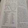 The Oxford Companion to the Mind Image 4