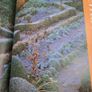 New Geoff Hamiltond year in your garden book Image 4