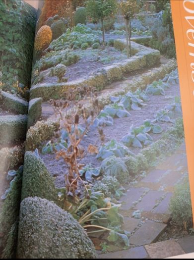 New Geoff Hamiltond year in your garden book