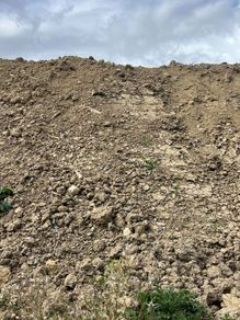 Soil