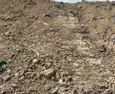 Soil