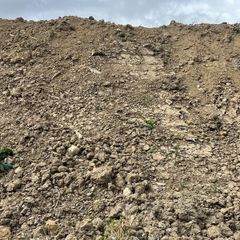 Soil