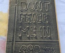 Don't Fence Me In First Edition by Ray Davey