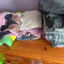 jumpers girls Image 2