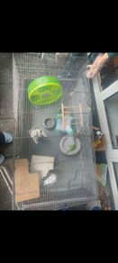 Hamster cage