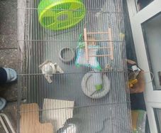 Hamster cage