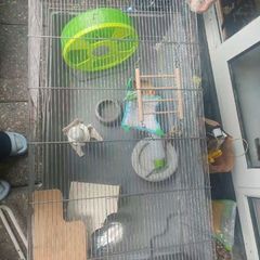 Hamster cage