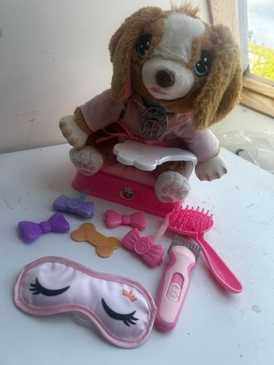 Pampered Paws puppy