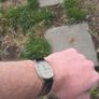 Omega Constellation Quartz Image 4