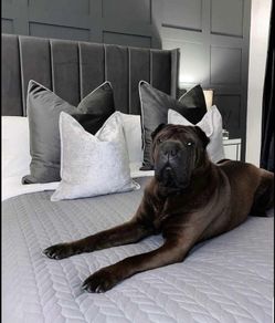 Frame Indiana beds free delivery
