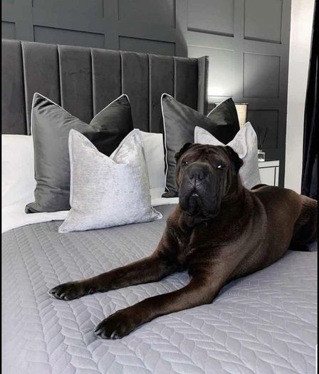 Frame Beds Available with mattress