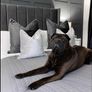 Frame Beds Available with mattress Image 4