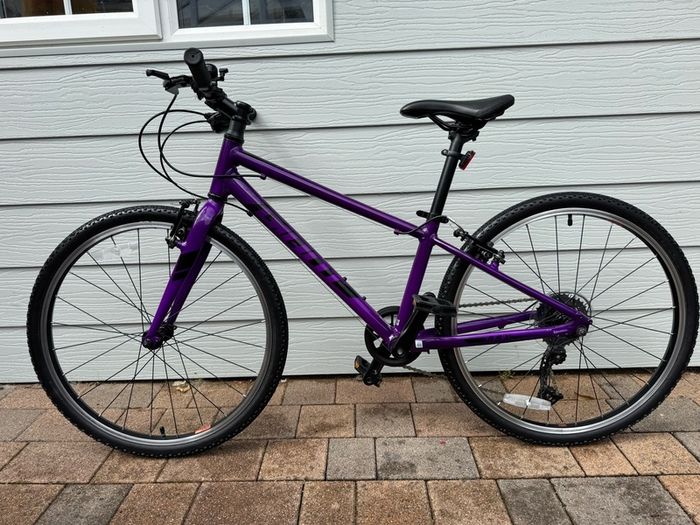 Giant ARX 24" Junior Bike - Purple