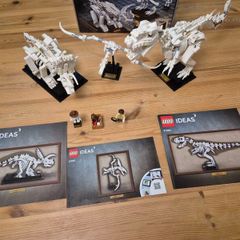 Lego Ideas 21320 Dinosaur Fossils