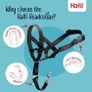 Halti Headcollar Stop Your Dog Pulling on the Lead Image 3