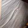 Mattress Image 4