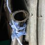 21ft Hydrodare water pipe 3/4 inch Image 2