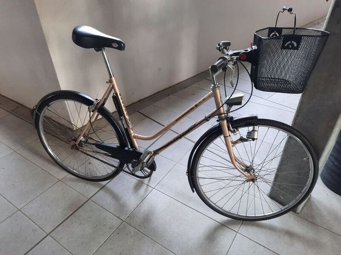 retro ladies bike