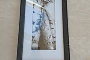 Patrick Donald "The Spire" Dublin Framed photo