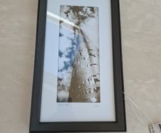 Patrick Donald "The Spire" Dublin Framed photo