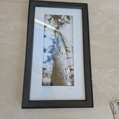 Patrick Donald "The Spire" Dublin Framed photo
