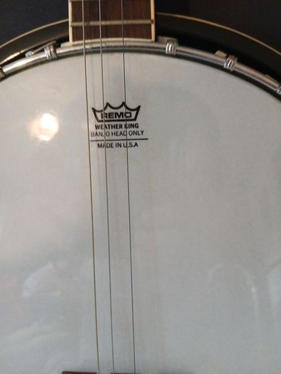 westfield remo four string tenner banjo