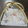 Baby Play Gym Image 3