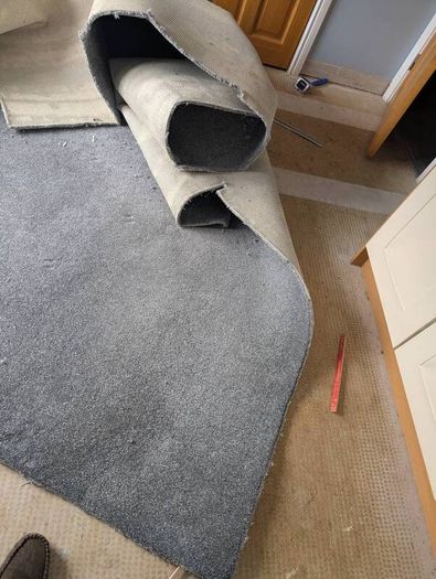 carpet