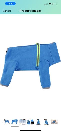 Bear Small Dogs Winter Clothes,Dog Winter Warm Coat Soft Fleece with Reflective Zip Dog Onesie Jumpsuit, Puppy Pet Pajamas Costume Apparel (Blue, L)