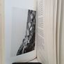 Leabhar Sheain I Chonaill by Seamus O' Duileagra (PT134) Image 6