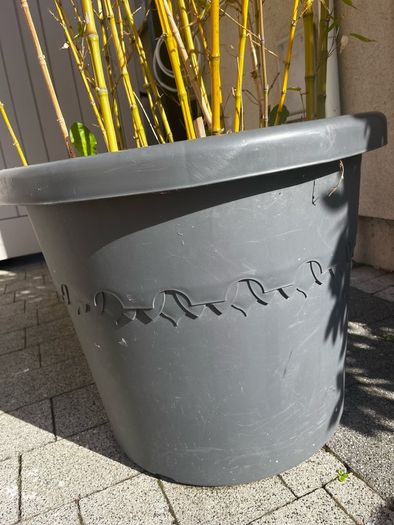 6ft Bamboo x 2 in grey Elho 58cm roller pots
