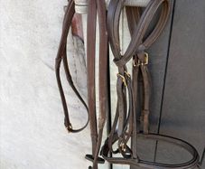 Bridle & Reins