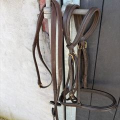 Bridle & Reins