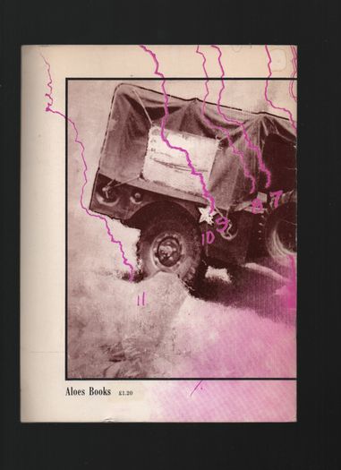 Thomas Pynchon. The Small Rain.