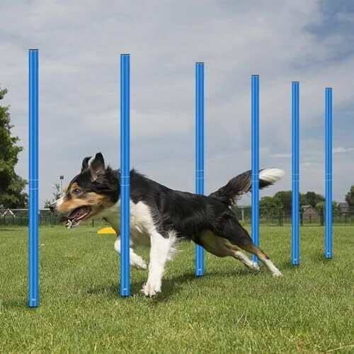 football Agility Training Slalom Poles Set