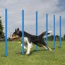 football Agility Training Slalom Poles Set Image 6