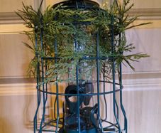 Bird feeder