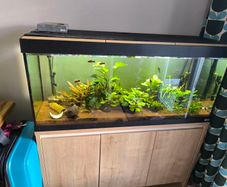 fluval Roma 240 litre