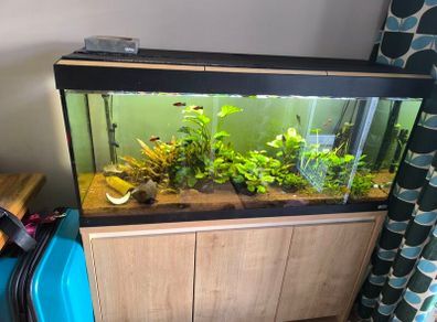 fluval Roma 240 litre